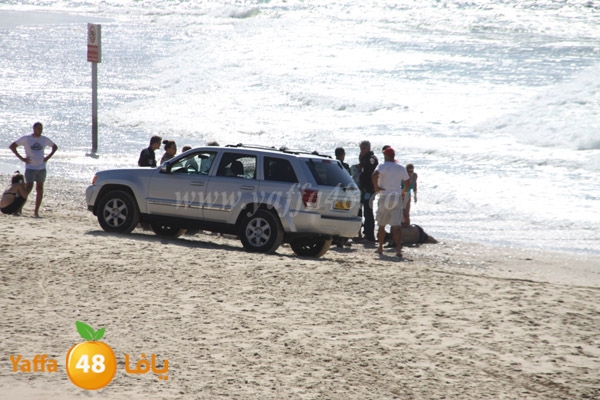 gareg 107 3ajami (12).JPG